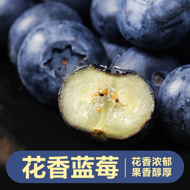 云南高原花香蓝莓 馥郁香甜 125g/盒 宝宝辅食 新鲜甄选 顺丰空运