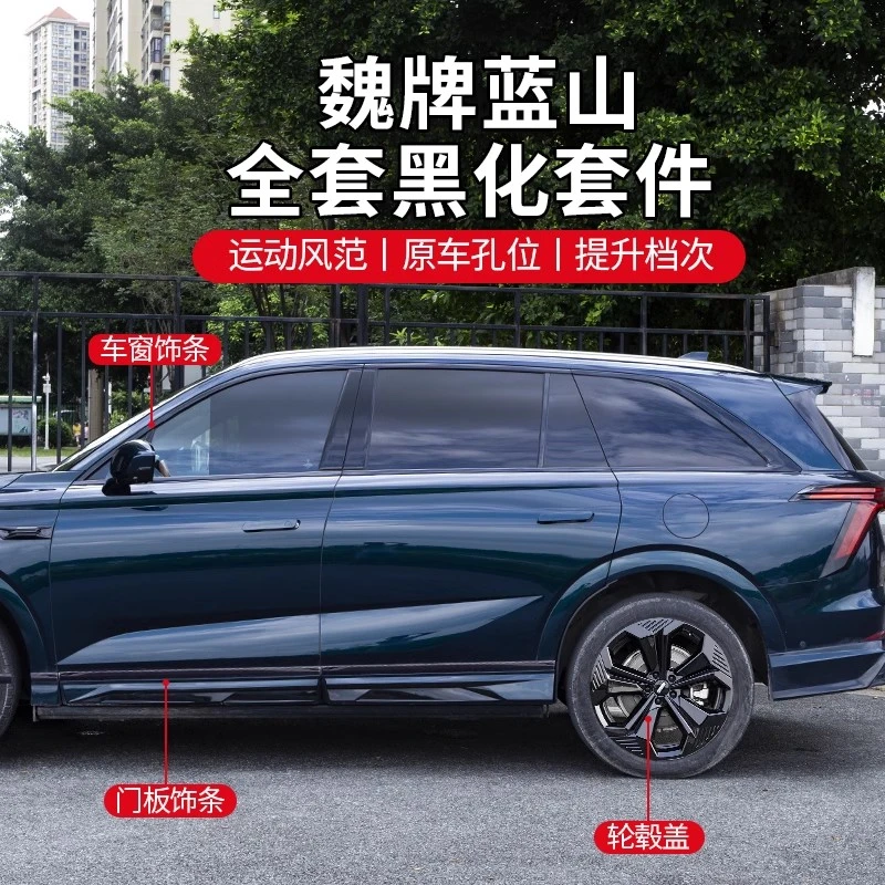 魏牌蓝山改装黑化门边车身饰条黑武士车顶行李驾装饰条叶子板车标