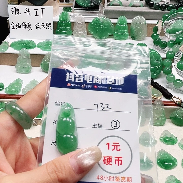 石英质玉未镶嵌颈饰王**?