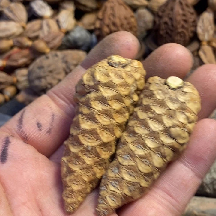 文玩核桃吊坠东北特产330