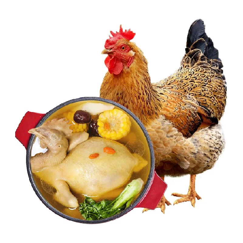 2只一年左右黄油老母鸡