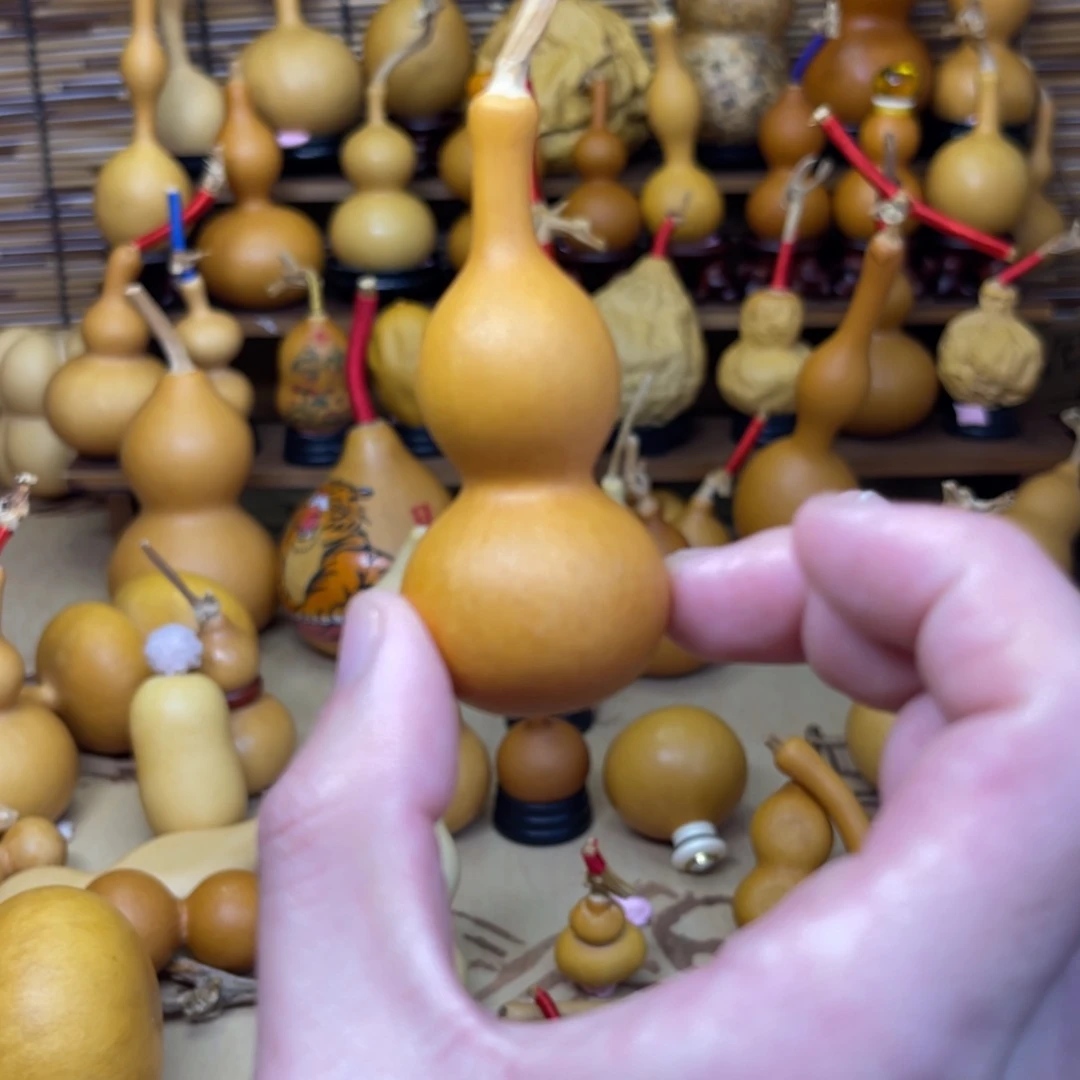 甩肚天津嘴厚皮响籽9