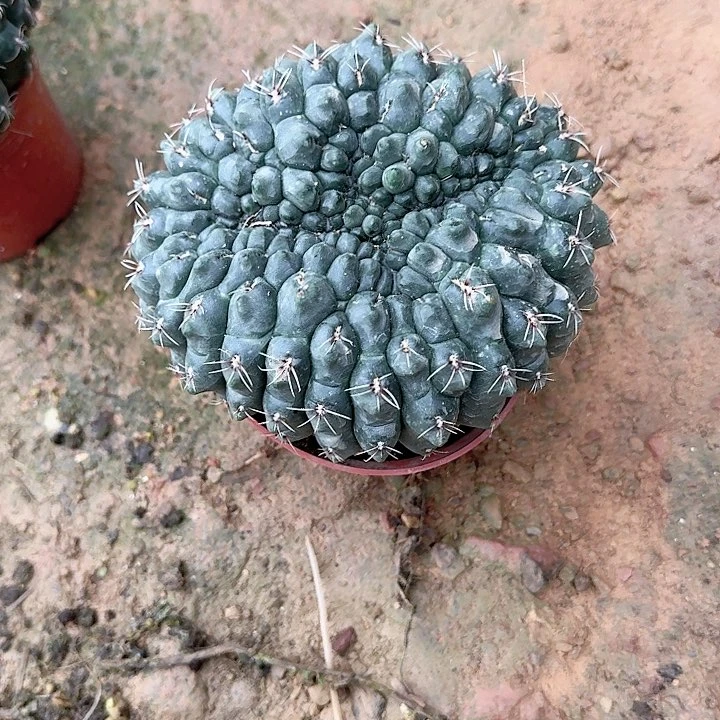 逝***痕补。