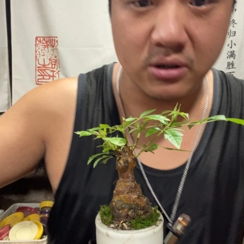 一物一拍所见即所得151