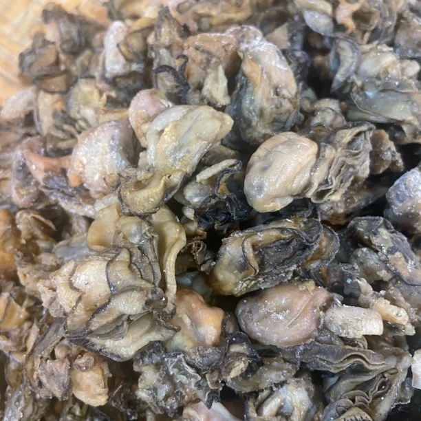 生晒蚝豉干-新货福利