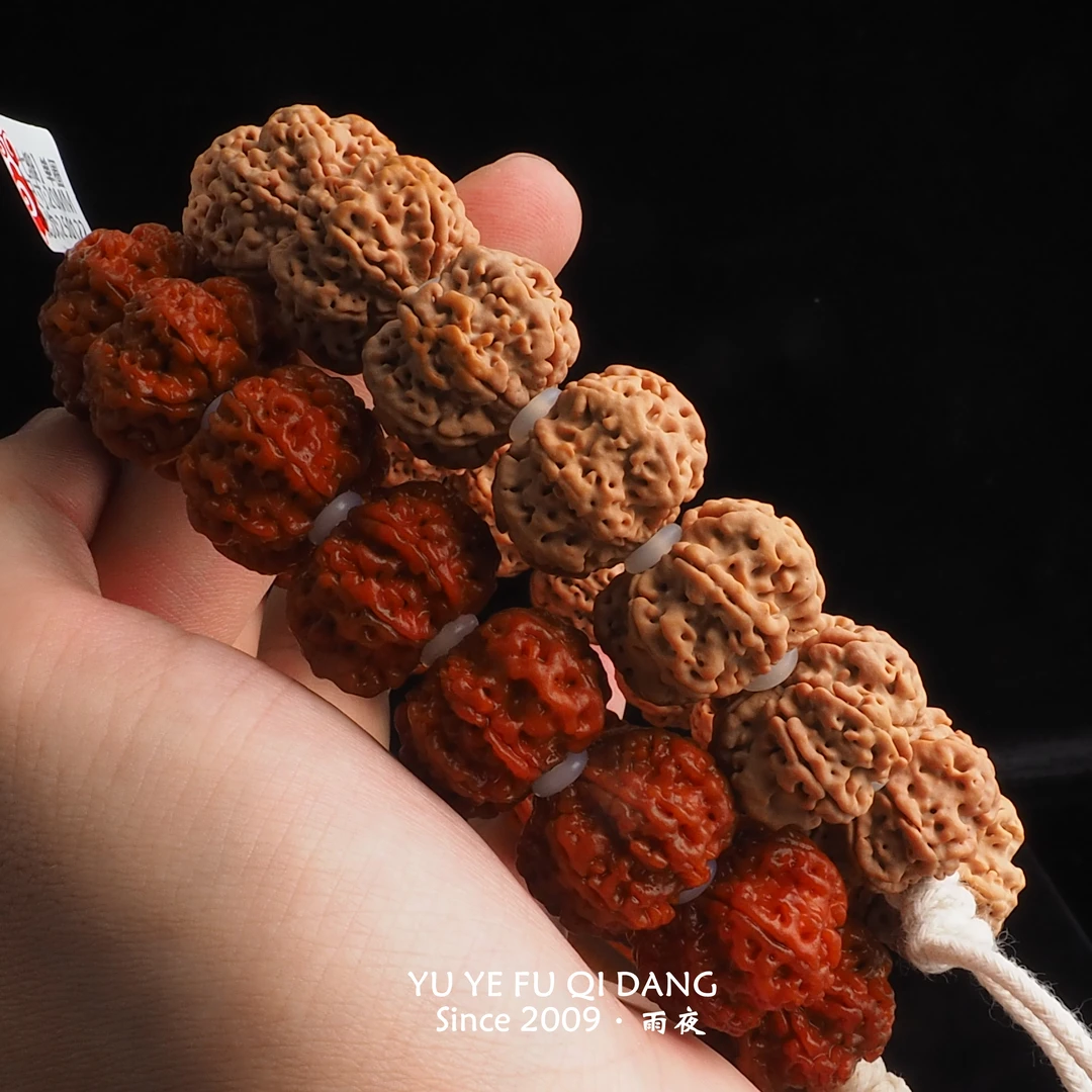 【传奇●雪域●雪花扇面】不打药原生态尼泊尔经典老款树种大金刚单圈