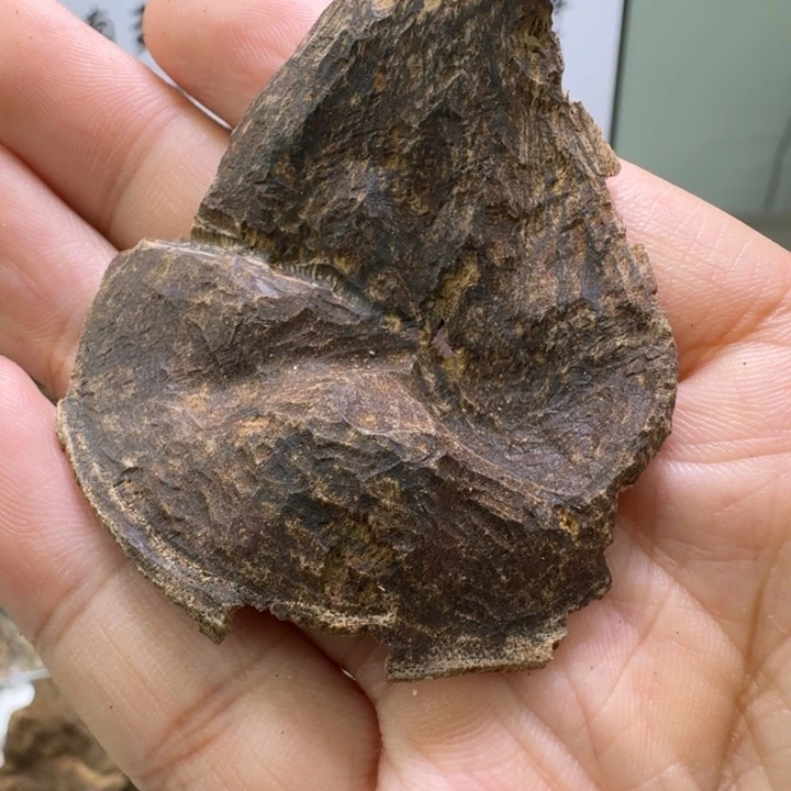 香港醇化老壳香2克