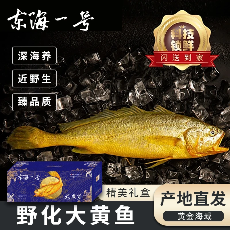 深海大黄鱼新鲜野化海捕冷冻1-1.2斤/条高品质生鲜海鲜顺丰包邮
