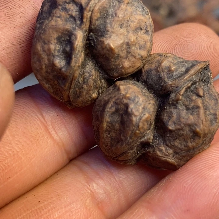 文玩核桃吊坠拿姐工艺71