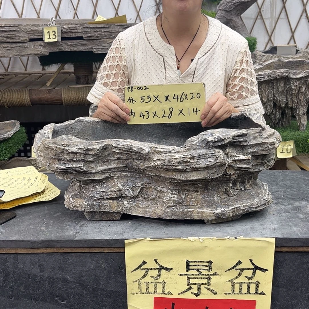 盆景盆盆景盆P8-002