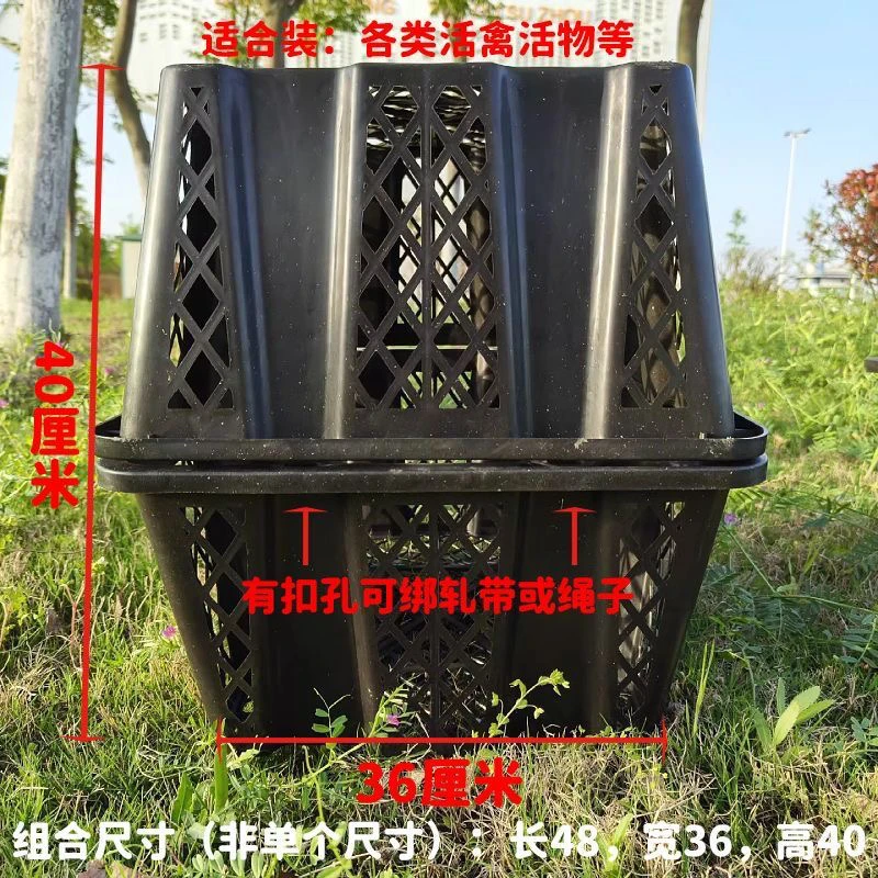 家禽运输框 顺丰包邮