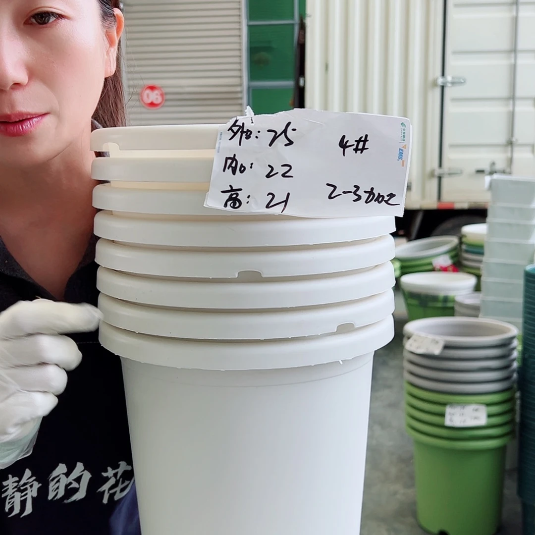 瑕疵四季盆4#白色8个无托