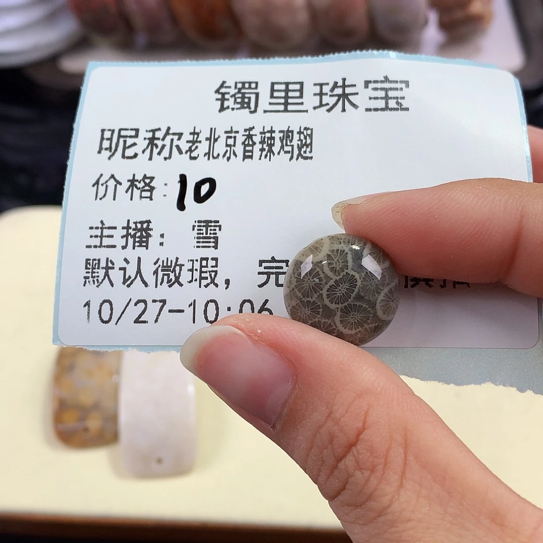 老***翅硅化珊瑚（珊瑚玉）未镶嵌吊坠(赠链)