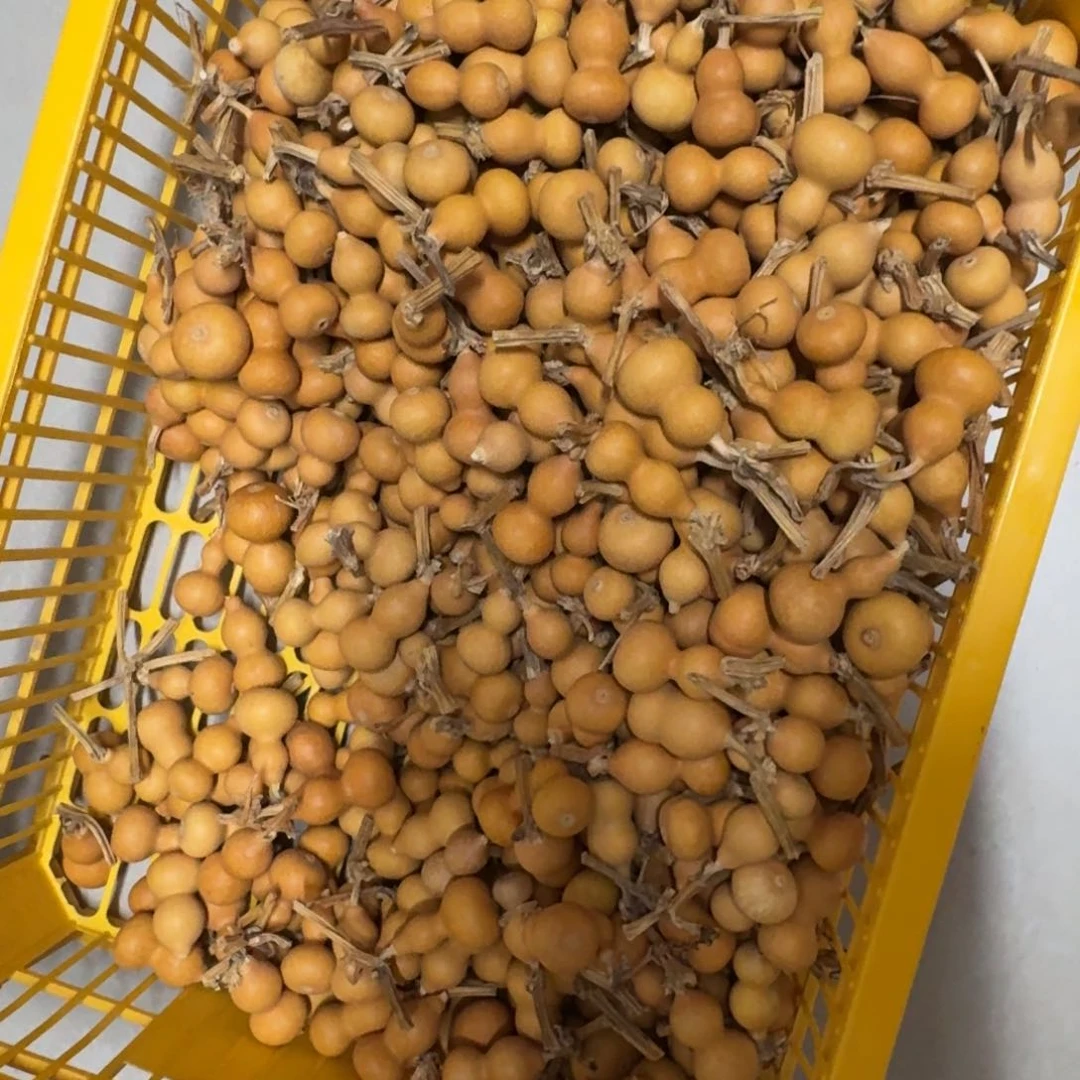 空***格精品草里金葫芦系列100个