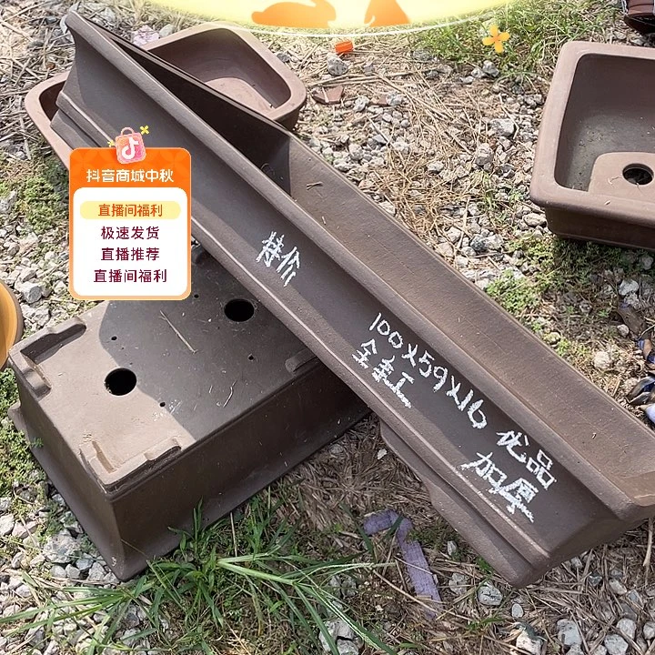 特价处理紫砂一只