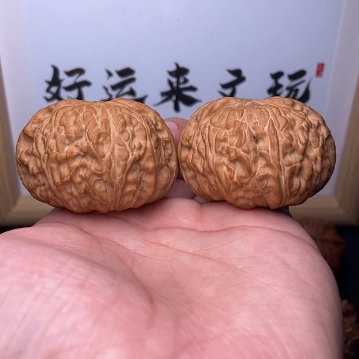 核桃全品大尺闷白