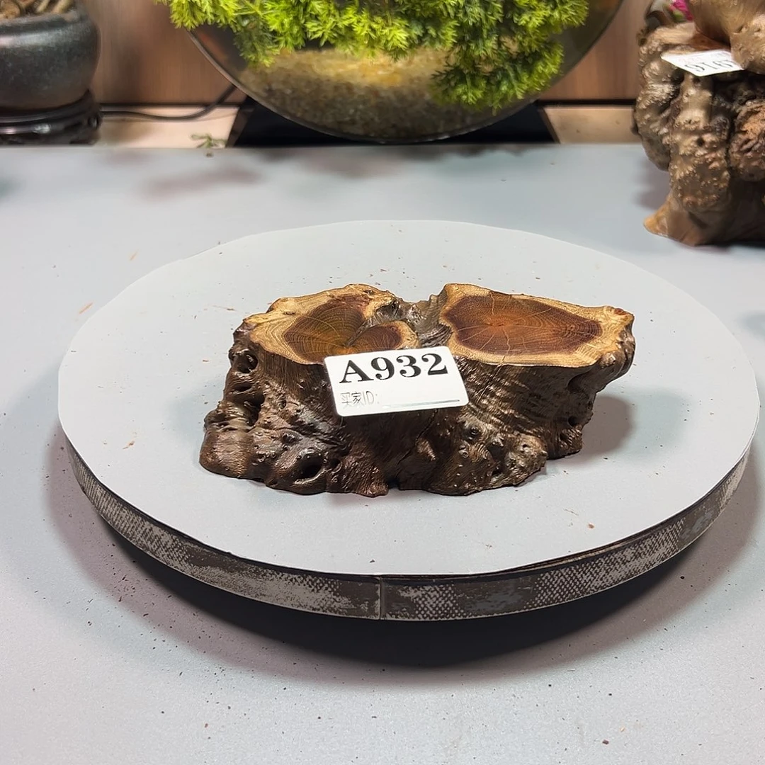 大果紫檀（缅甸花梨）h*h