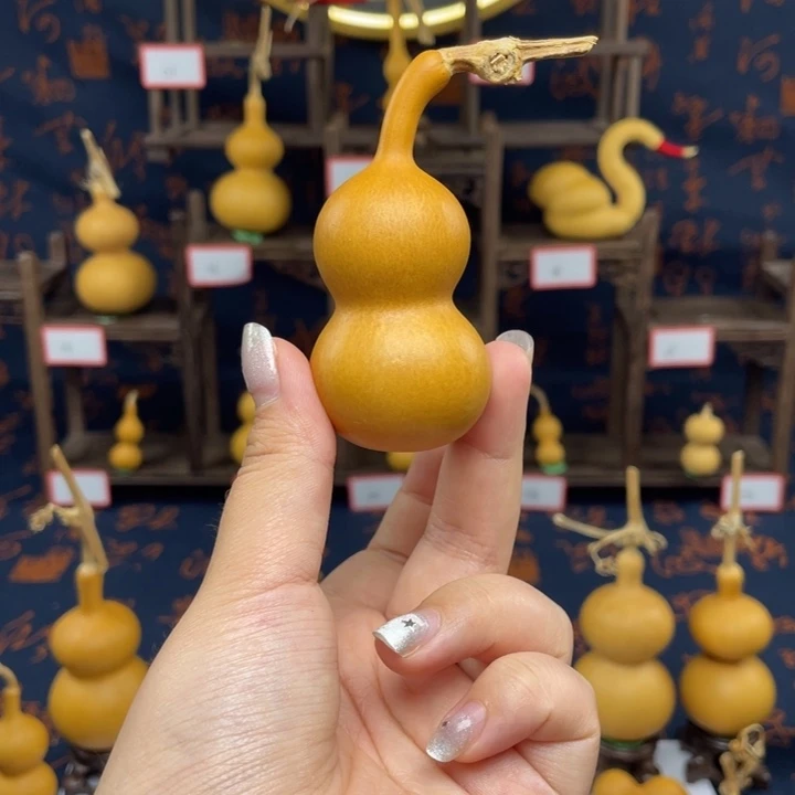 木杨***子11111111111