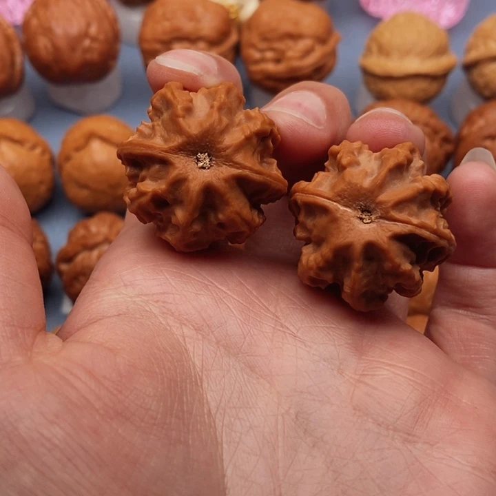 文玩核桃把件赤焰龙脊