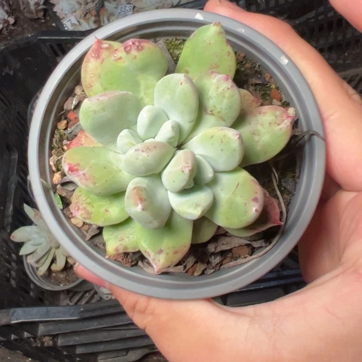 341哈哈哈哈哈哈哈