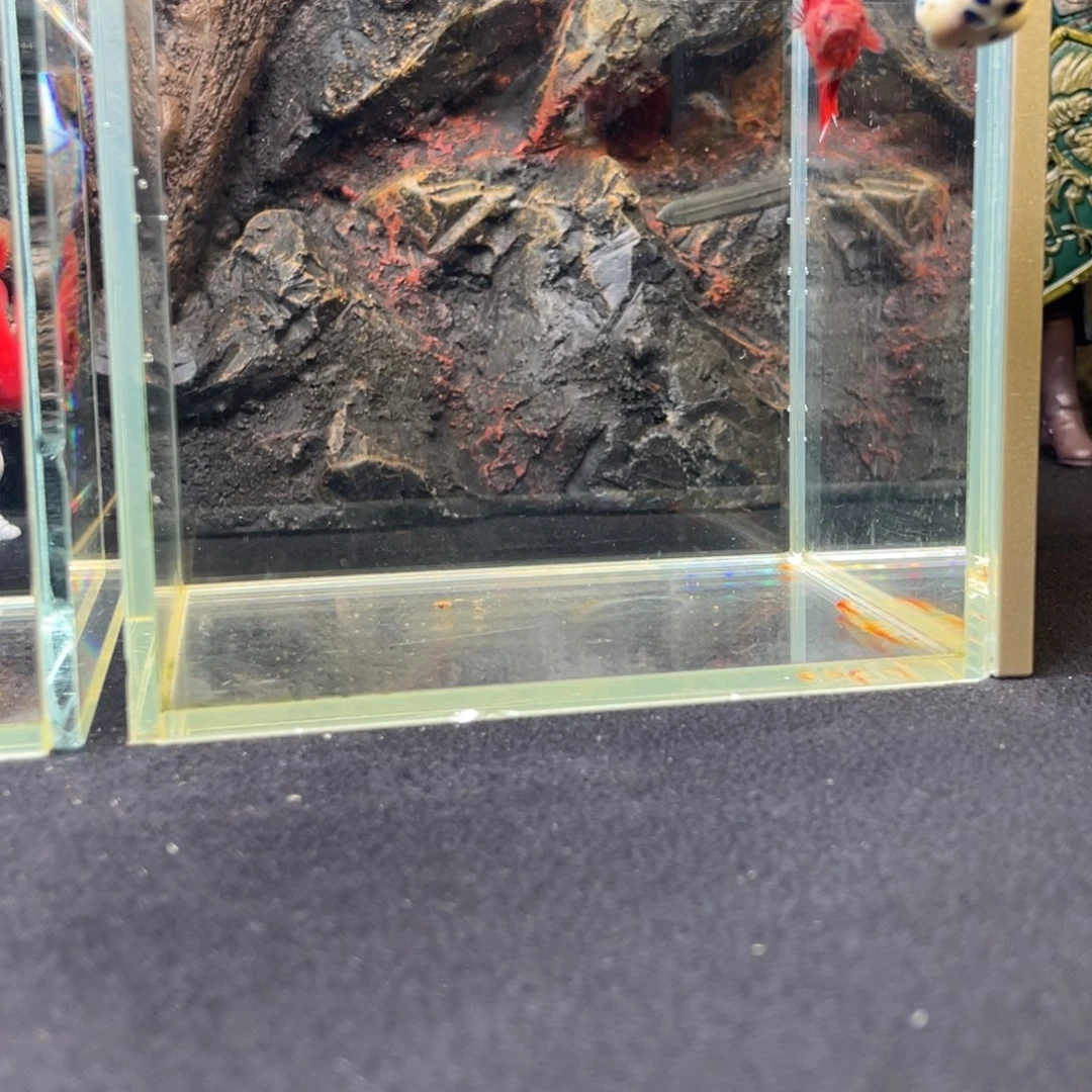 斗鱼十月二十六日竞价
