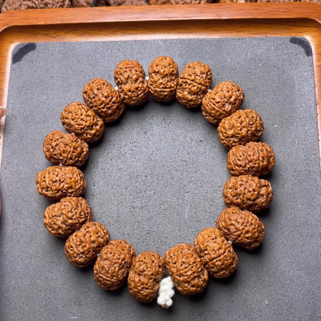 菩提2号金刚菩提蜂王夹板21