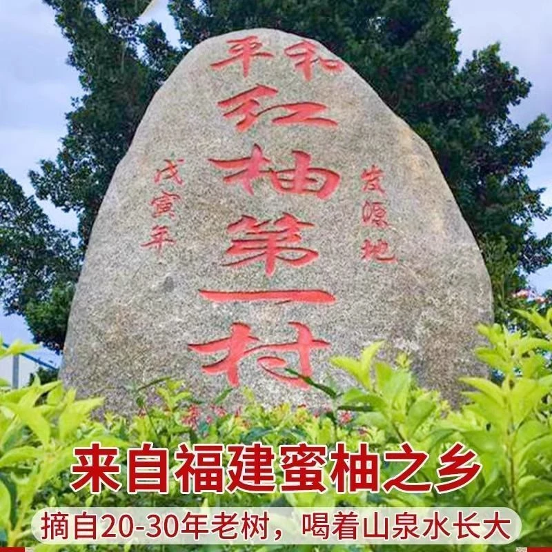福建平和琯溪蜜柚原产地发货9-10斤包邮