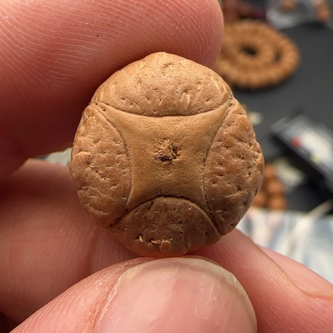 凤眼菩提吊坠18货号3