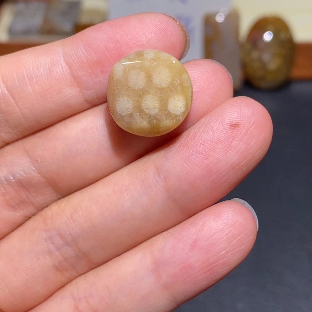 【闪购商品】未镶嵌珊瑚玉硅化玉