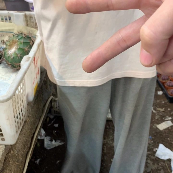 凌波大棵6棵。。。。。。。。。