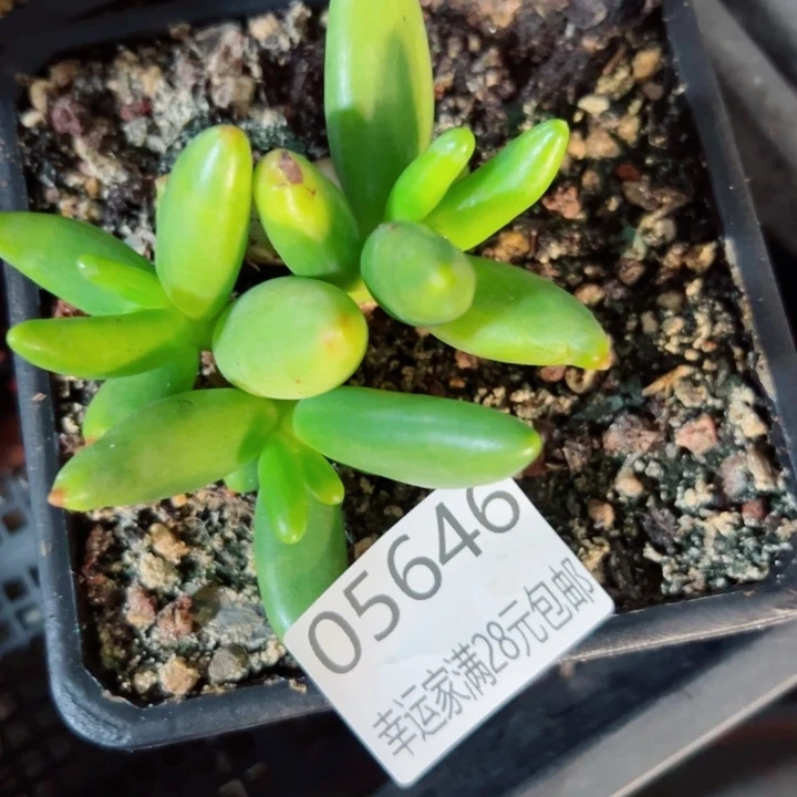 幸运的是我没有遇到过这样