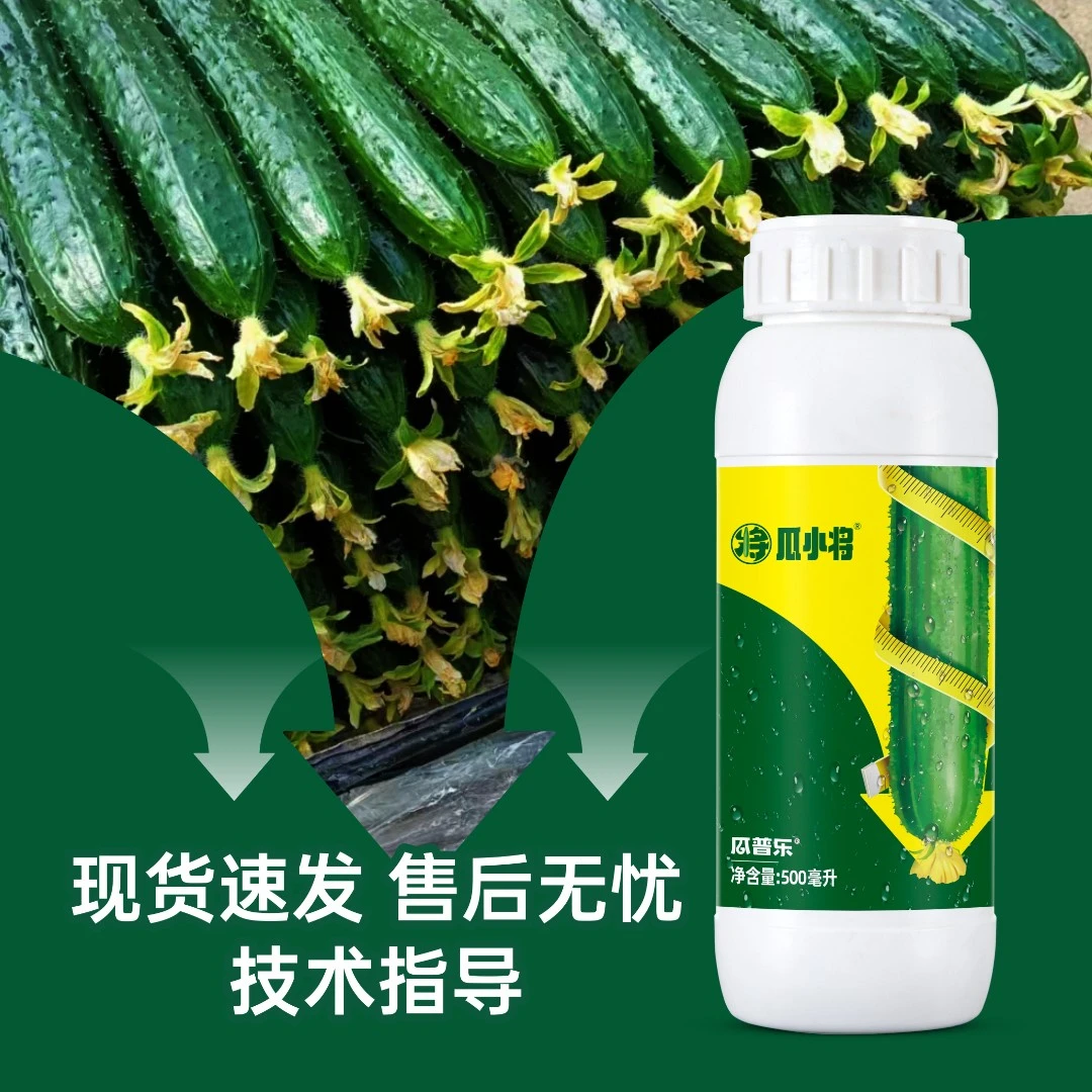 q瓜小将黄瓜专用全营养调节高产顺直促花膨果秧子壮黄瓜专用肥