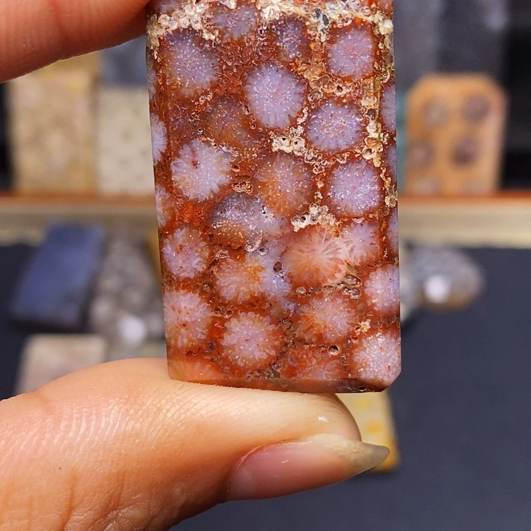 子***c硅化玉珊瑚玉合金