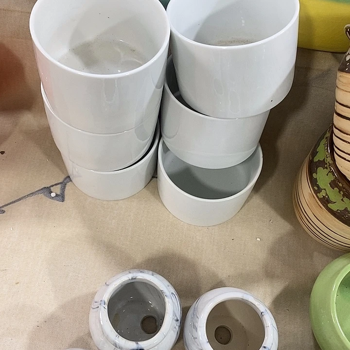 花盆抢购清货马上开始