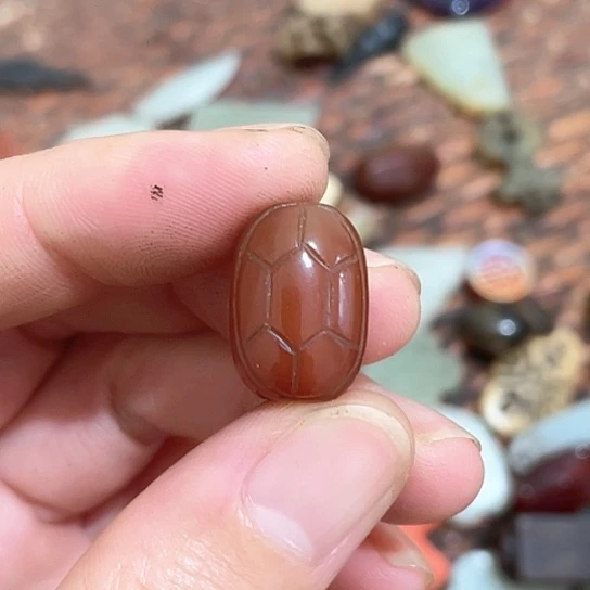 专***。三醋酯纤维我也很喜欢这个风格