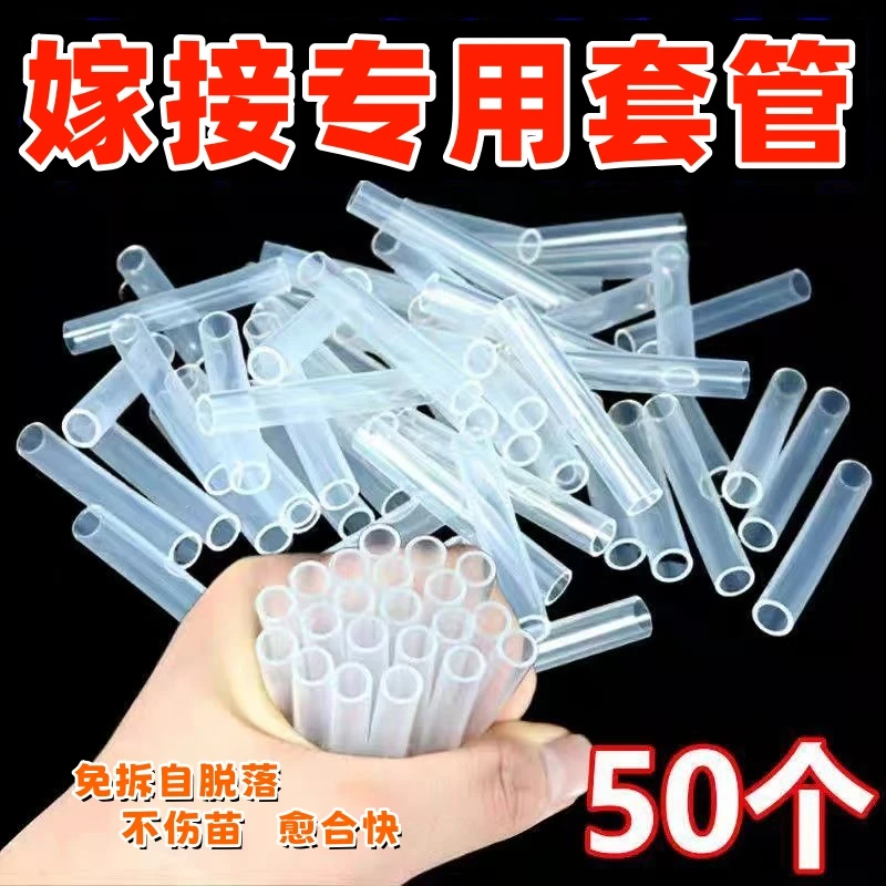果树嫁接专用透明硅胶套管用于花卉园林枝条切口连接