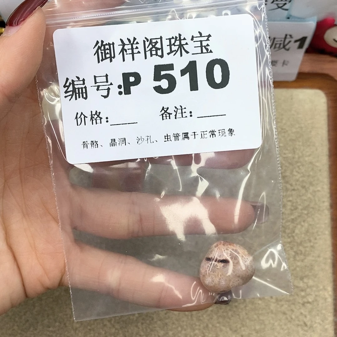 硅化珊瑚（珊瑚玉）P未镶嵌天****远