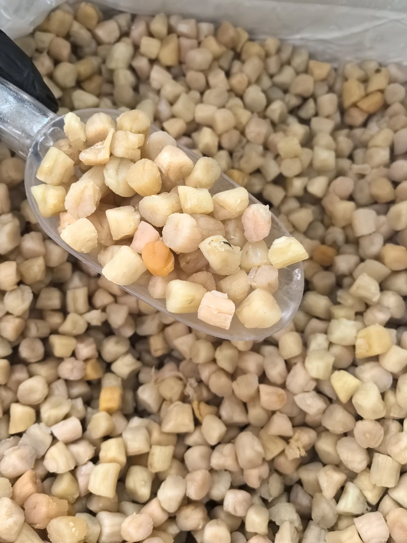 300头淡干大连手工干贝淡口适合煲汤煲粥的海鲜干货