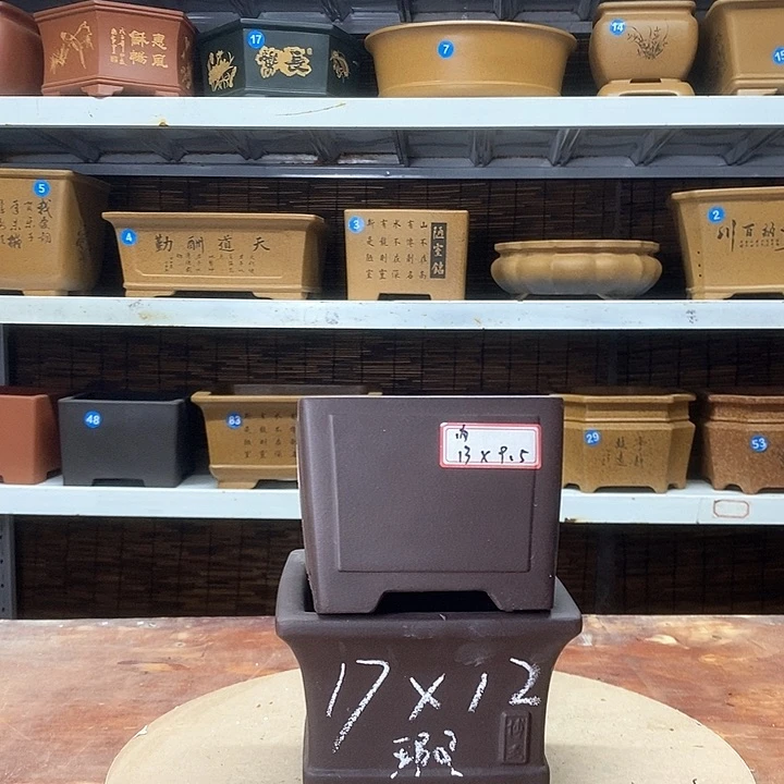 紫砂花盆紫色斑点