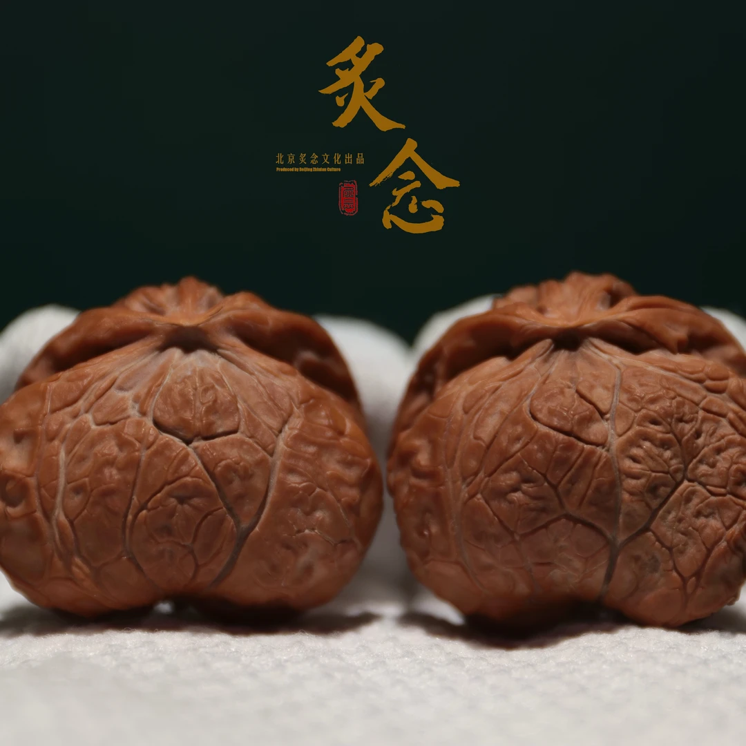 【柒】宫灯眼镜蛇 · 38 一物一图 文玩好物