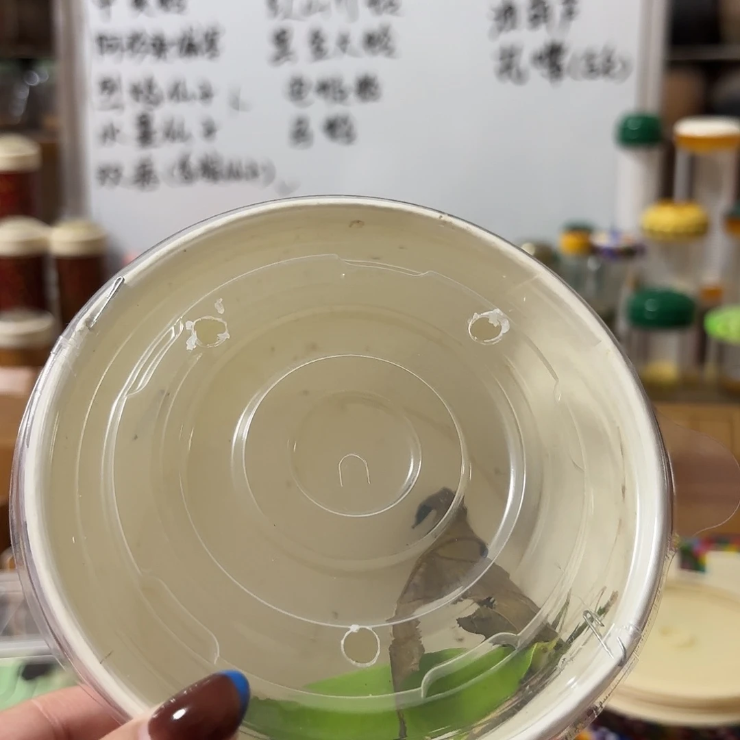 中须海南素背一条