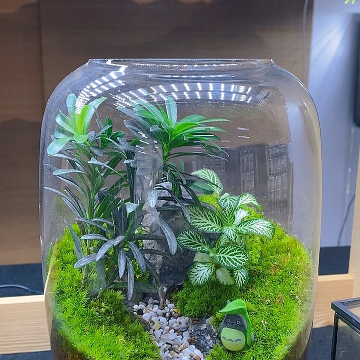 无花朵带灯透明圆