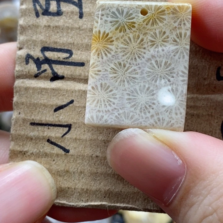 硅化珊瑚（珊瑚玉）颈饰未镶嵌