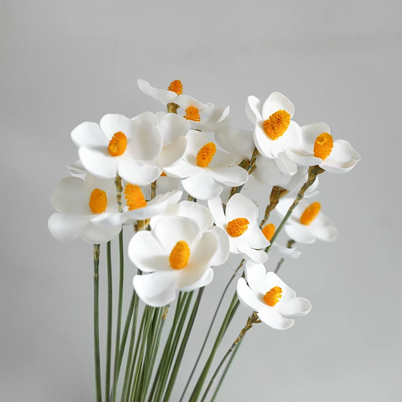 EVA紫罗兰干花仿真花五瓣花永生花花艺包装diy配饰插花装饰品