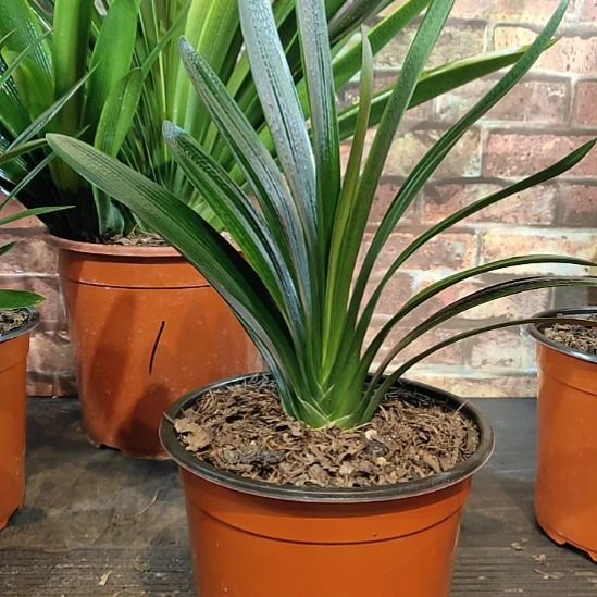 完全开放1111111111