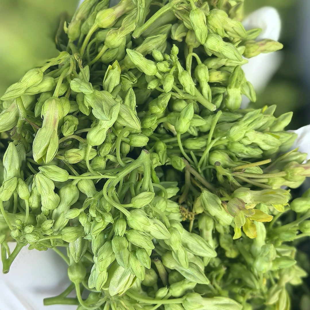 新鲜现摘夜来香夜香花煲汤特色蔬菜炒鸡蛋炒腊肉