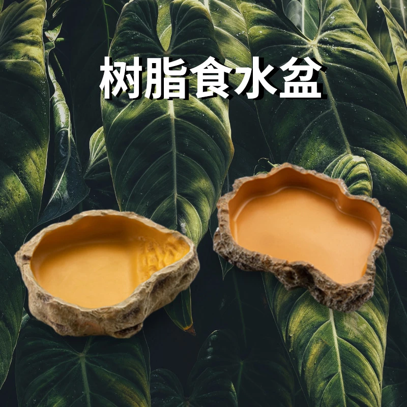 爬虫造景食水盆树脂食盆守宫蜥蜴角蛙宠物蛇泡澡盆爬宠饲养箱水碗