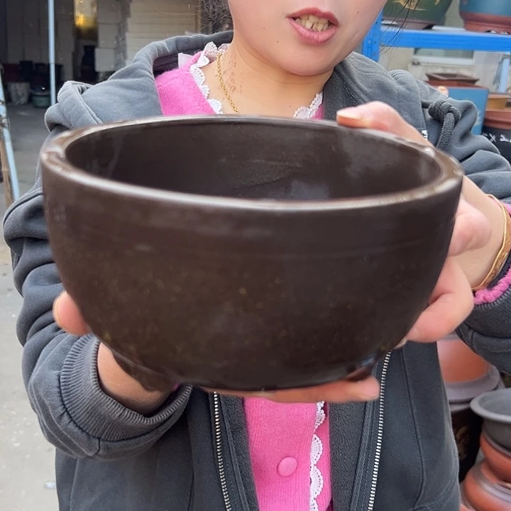 拉毛绿萝小一个花盆花盆花盆花盆