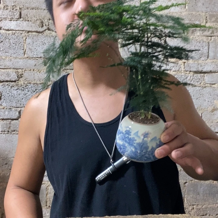 米***菜完全开放退款拉黑一物一拍235