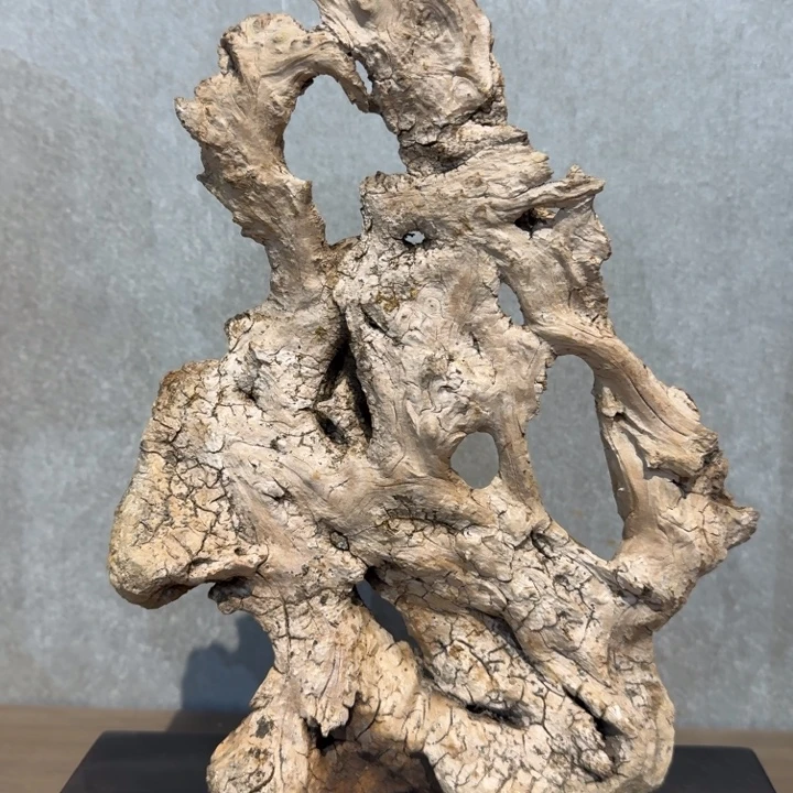 崖***者香榧木崖柏啊啊啊啊